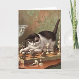 Cartão vazio - série impertinente do gato - gato