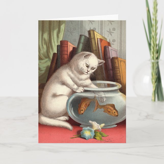 Cartão vazio - série impertinente do gato - gato (Frente)