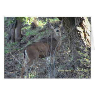Cartão Veado (1a) - Personalizável