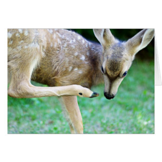 Cartão Veado - Arranque essa comichão
