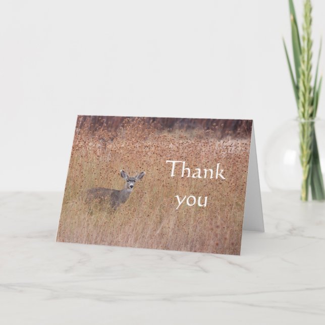 Cartão Veado no obrigado de prados. (Frente)