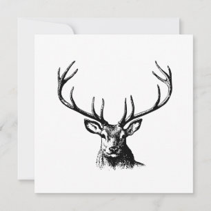 Cartão Vedante Animal Antlers Natureza Cavalos Selvagem C