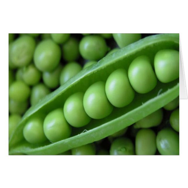CARTÃO VEGETAIS (Frente Horizontal)