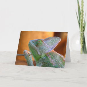 Cartão Veiled Chameleon