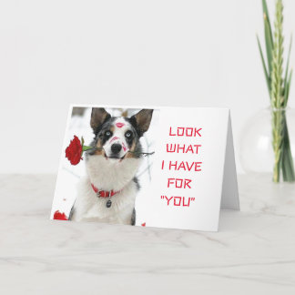 CARTÃO VEJA O QUE "TENHO POR VOCÊ" DIA OU NOITE ESPECIAL