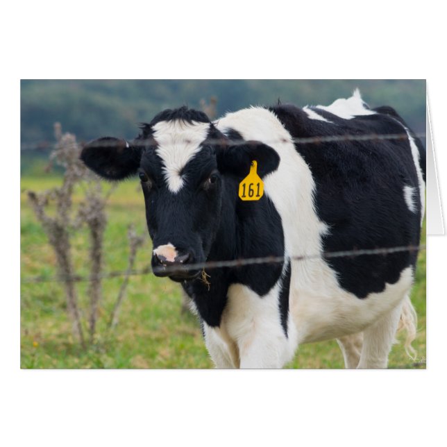 Cartão Vejo Você (Frente horizontal)