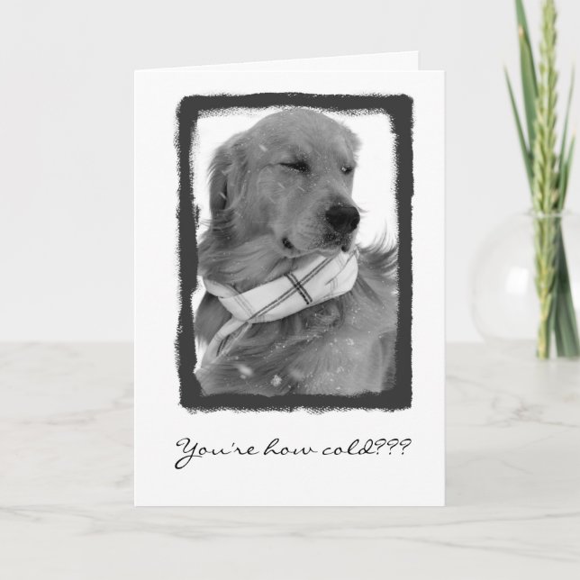 Cartão Velho! (Frente)