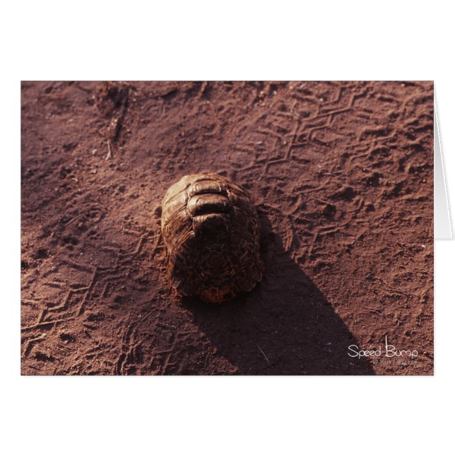 Cartão Velocidade (Frente Horizontal)