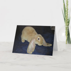 Cartão Velveteen Lop Note Card