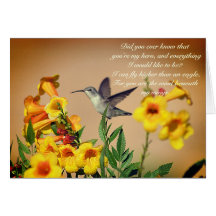 Vento abaixo das minhas asas