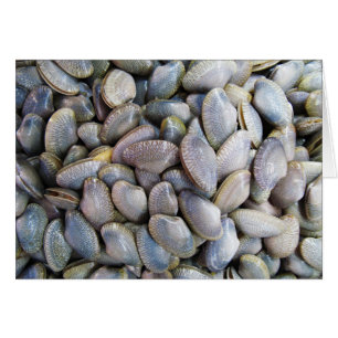 Cartão Venus Clam [ห อ ย ล า ย]