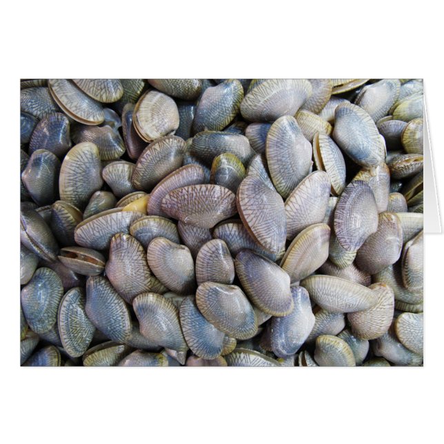 Cartão Venus Clam [ห อ ย ล า ย] (Frente Horizontal)