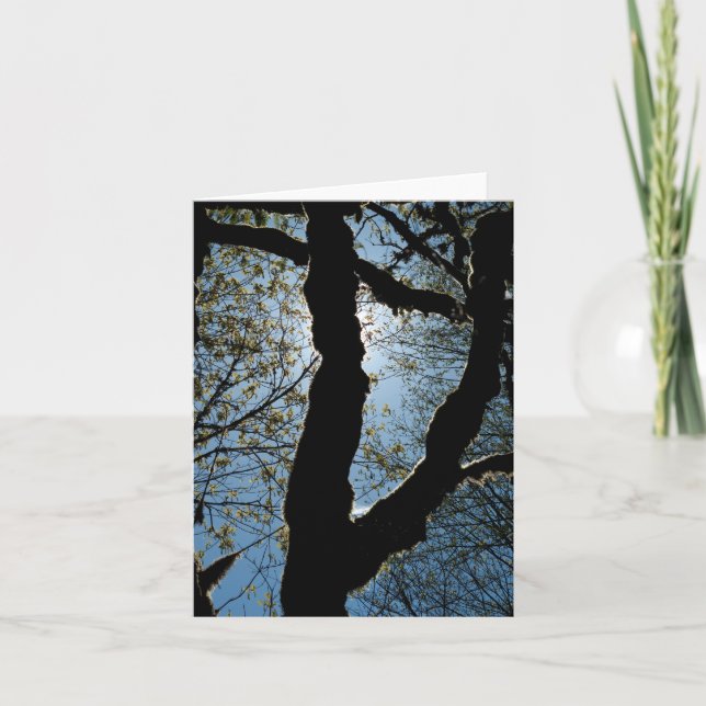 CARTÃO VER (Frente)