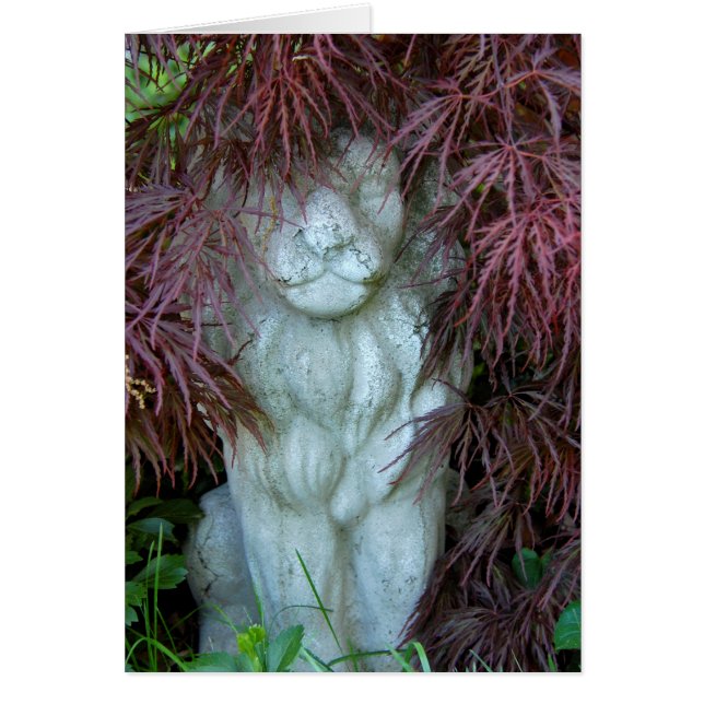 Cartão Ver-me Roar (Frente)