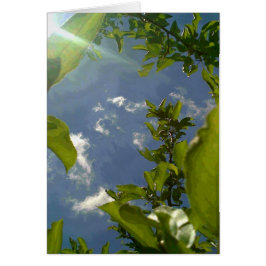 Cartão Ver na Árvore da Maçã