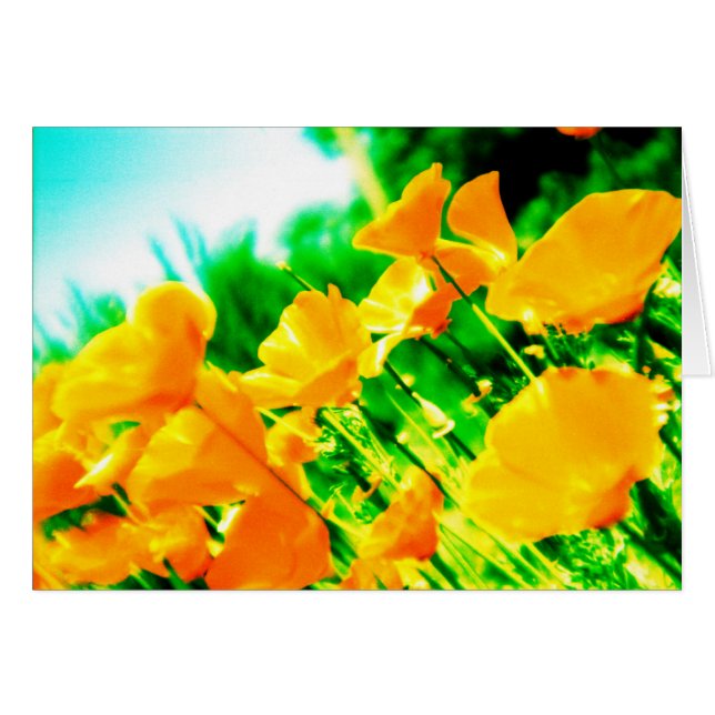 Cartão verão (Frente Horizontal)