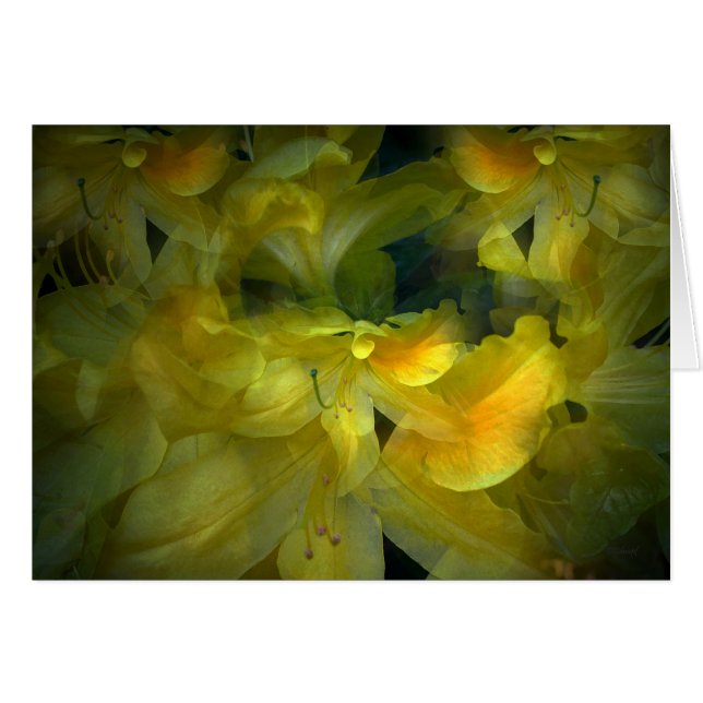 Cartão Verão (Frente Horizontal)