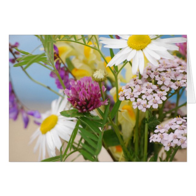 Cartão Verão (Frente Horizontal)