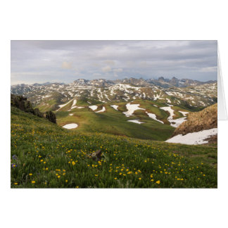 Cartão Verão em San Juans