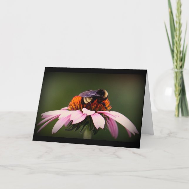 Cartão "Verão em Texas! " (Frente)