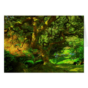 Cartão Verão, Jardim Japonês de Portland, Portland