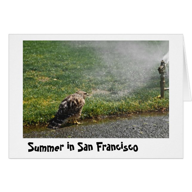 Cartão Verão na cidade (Frente Horizontal)