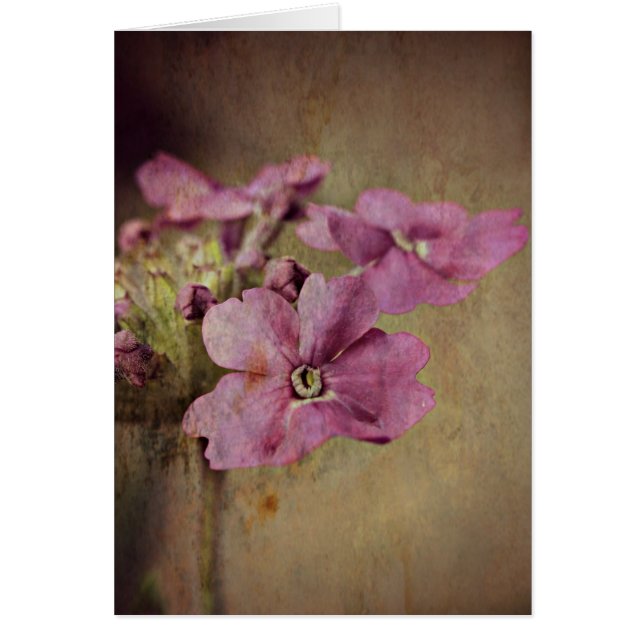 Cartão Verbena Delicate Floral Rosa. (Frente)