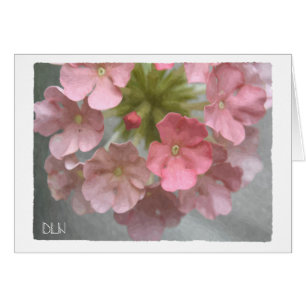 Cartão Verbena Rosa/Arte Floral