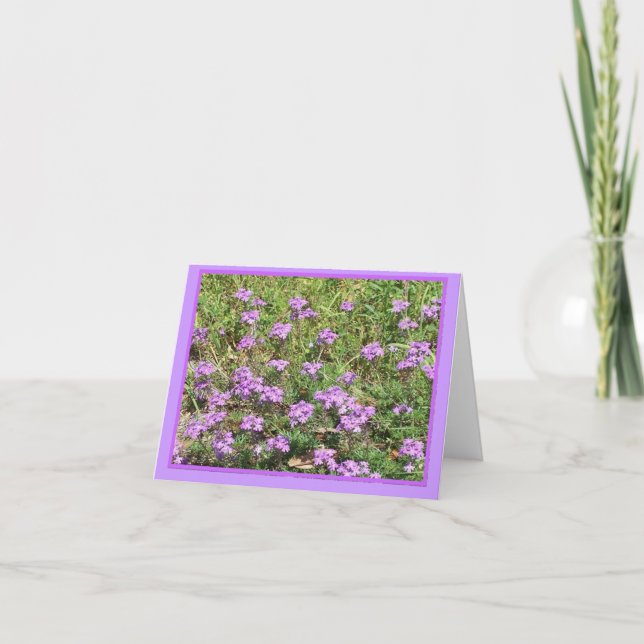 Cartão Verbena selvagem Notecard floral (Frente)