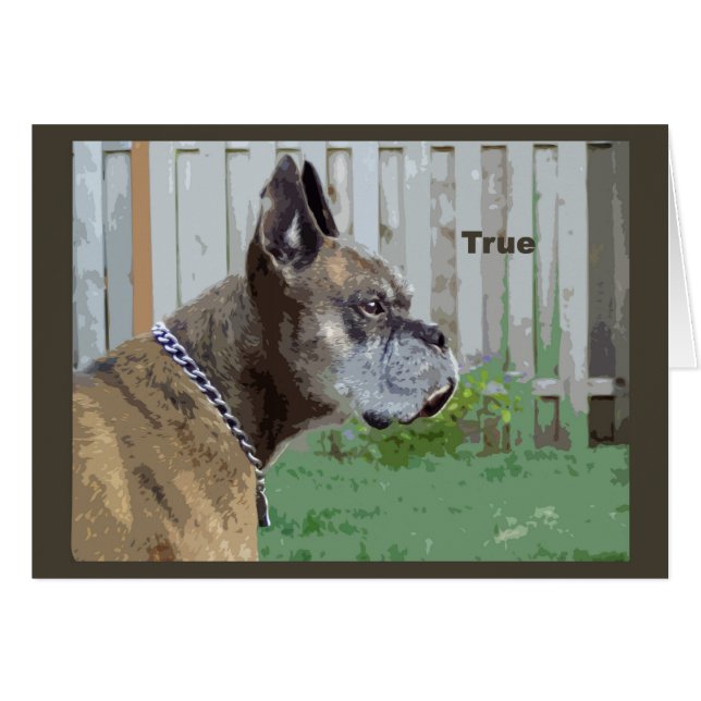 Cartão Verdadeiro (Frente Horizontal)