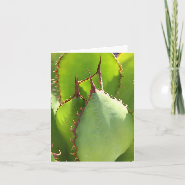 Cartão Verde agave notecard (Frente)