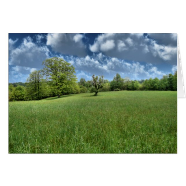 Cartão Verde Appalachian (Frente Horizontal)