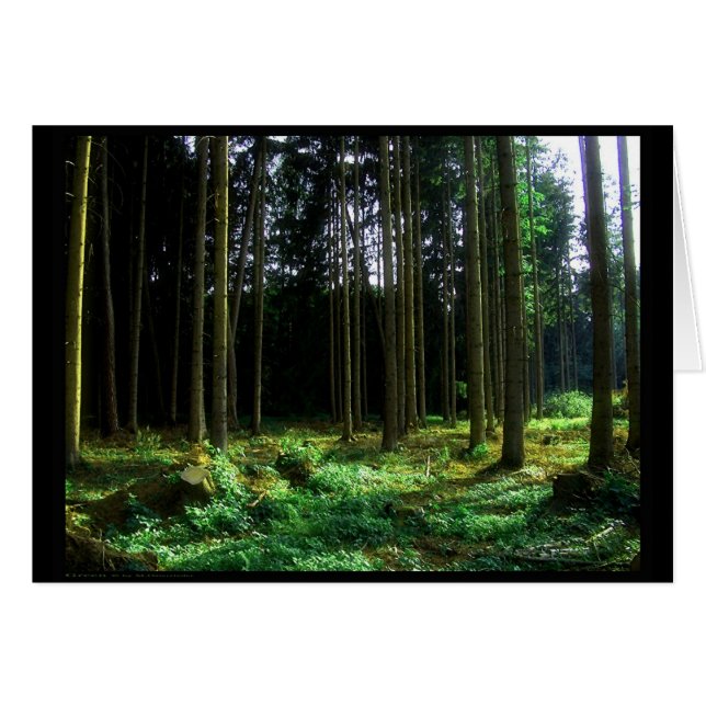 Cartão Verde (Cartão) (Frente Horizontal)