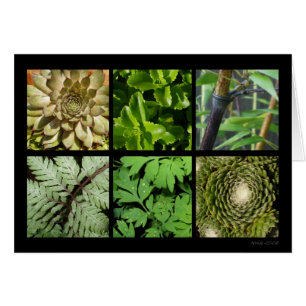 Cartão verde da folha