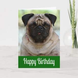 Cartão Verde de Aniversário do Pug Cachorrinho