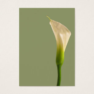 Cartão verde de sábio do lírio de Calla