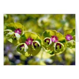 Cartão Verde e Flores 105