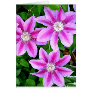 Cartão Verde-floral, cor-de-rosa, elegante