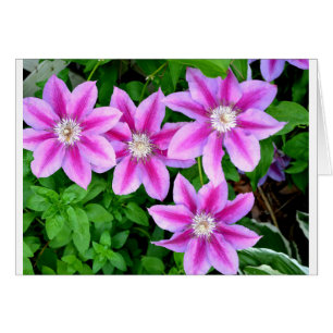 Cartão Verde-floral, cor-de-rosa, elegante