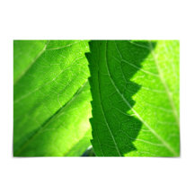 Cartão verde folha de emprego "Novo início"