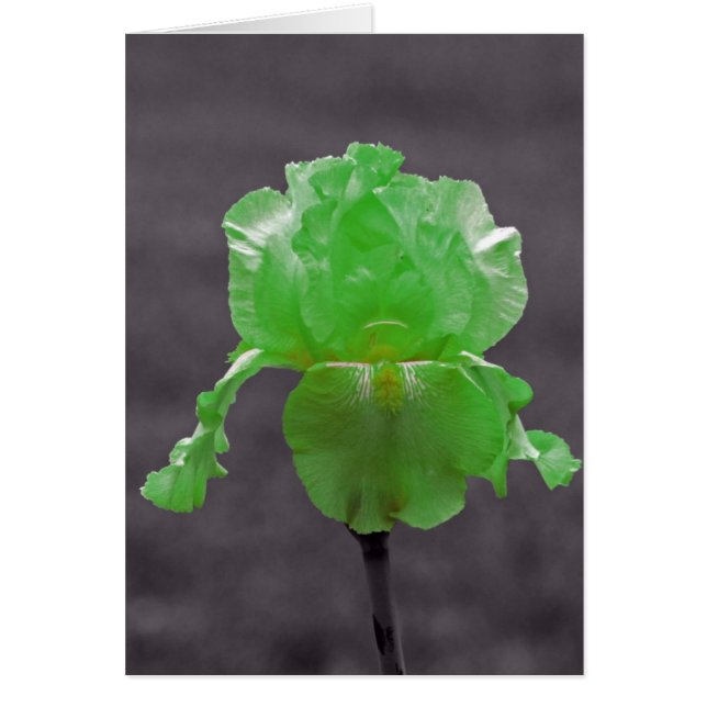 Cartão Verde limão Iris (Frente)