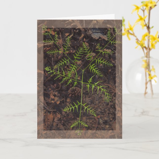 Cartão verde primavera (Flor Amarela)