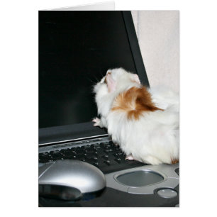 Cartão Verificando o email