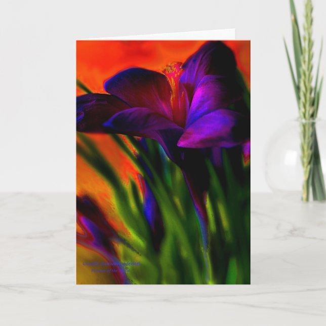 Cartão Vermelho (Frente)