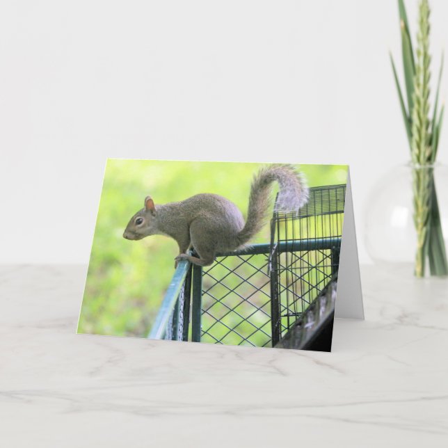 Cartão Vermelho (Frente)