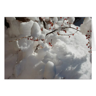 Cartão Vermelho, branco e frio