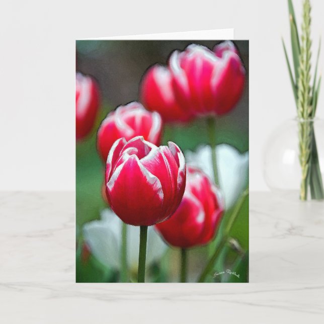 Cartão Vermelho, Branco e Lindo 2 (Frente)