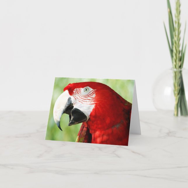 Cartão Vermelho Brilhante (Frente)