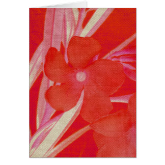 Cartão vermelho da flor