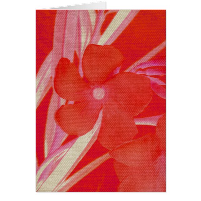 Cartão vermelho da flor (Frente)